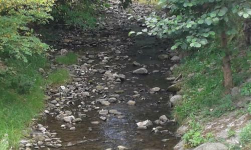 Hostal Pereszl�nyi Vend�gh�z