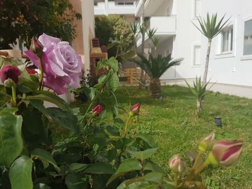 Vakakis-me Apartments