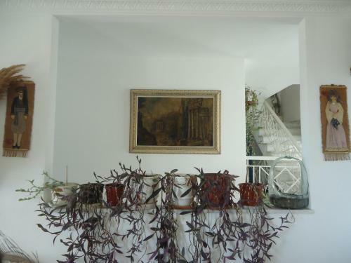 Zorbas Hotel & Studios