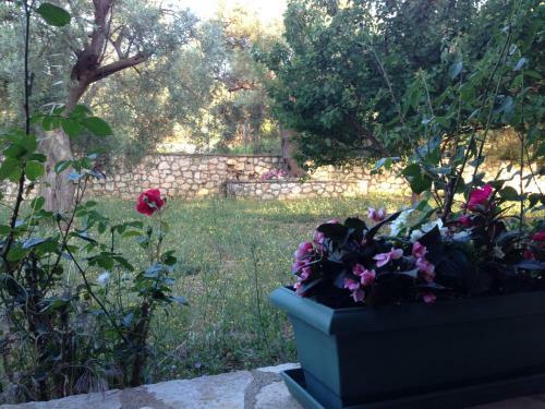 Apartamento Esperia Studios