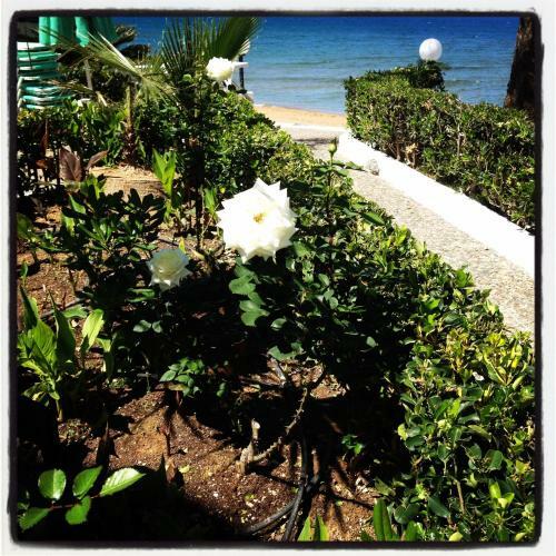 Aparthotel Kristall Suites