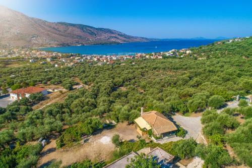 Apartamento Liodentro - Olea