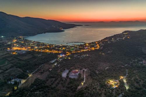 Apartamento Liodentro - Olea