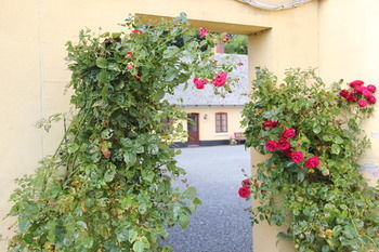 Munkebjerg Bed & Breakfast