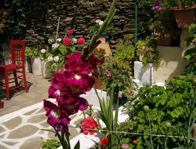 Apartamento Villa Rena