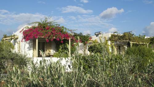 Glaros Apartments A