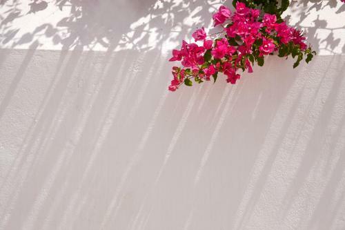 Hotel Spetses Retreat Accommodation