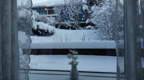 Mar�ub�r Apartment