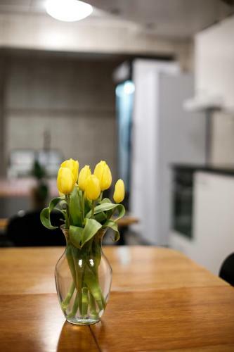 Hostal Guesthouse Summerday