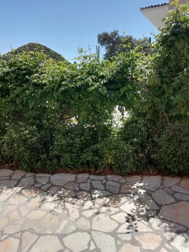 Marilena Studios And Apartments
