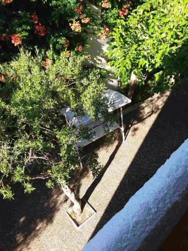 Apartamento Eleftheria Studios