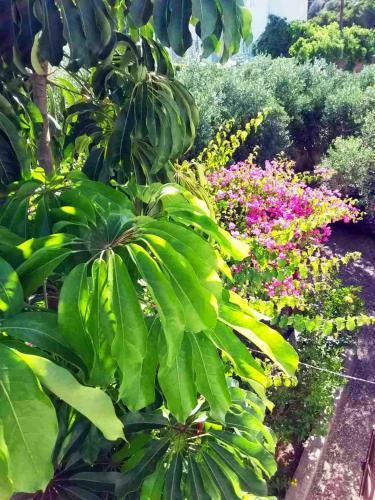 Apartamento Eleftheria Studios