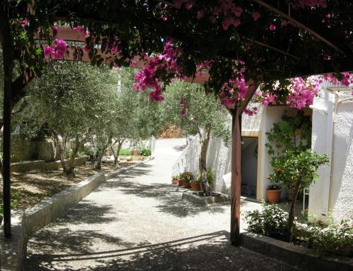 Apartamento Eleftheria Studios