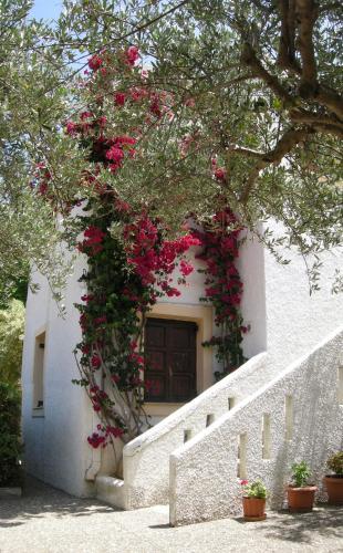 Apartamento Eleftheria Studios
