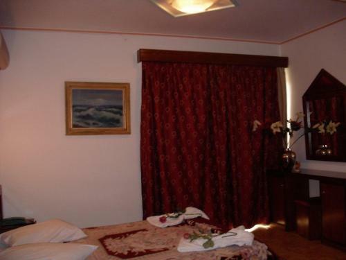 Aiolos Hotel Delphi