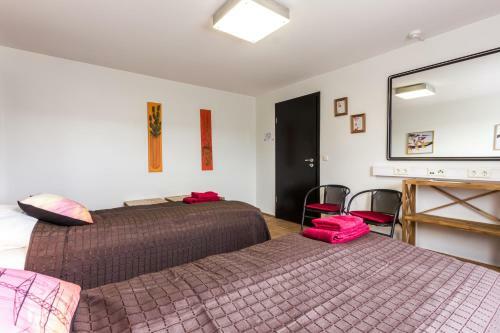 Hostal Iceland's Guesthouse