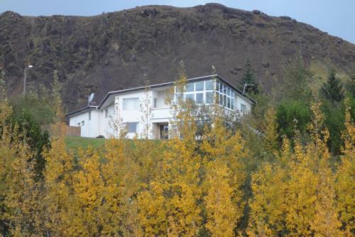 Hostal Iceland's Guesthouse