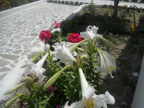Apartamento Villa Ostria