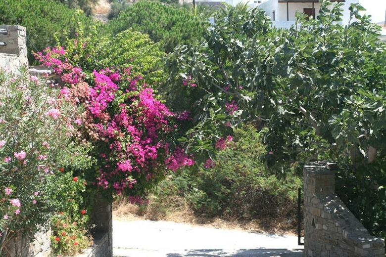 Apartamento Villas Georgy
