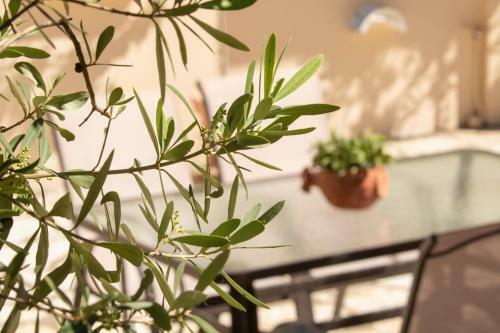Thalassa Apartments