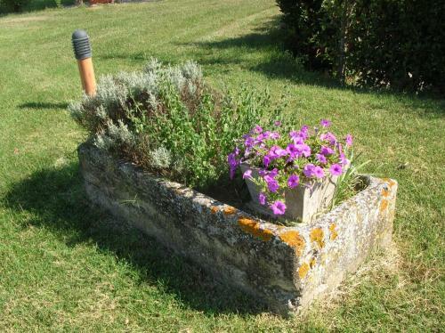 Agroturismo Agriturismo Il Poderino