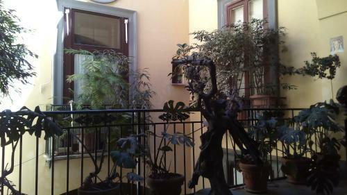 Bed & Breakfast 1878 Sorrento Guest House