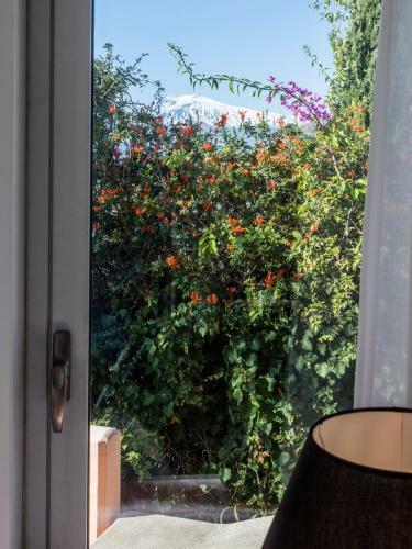 Apartamento La Malandrina