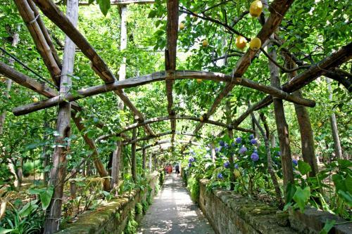 Sorrento Lemons View