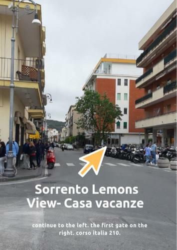 Sorrento Lemons View