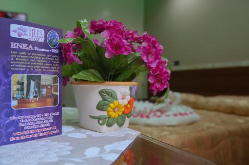 Hotel Iris