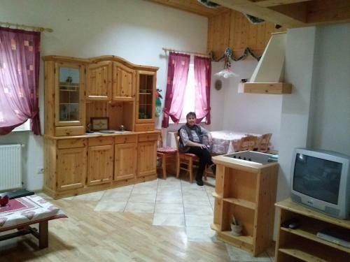 Apartment Cableway Canazei - Quadrilocale