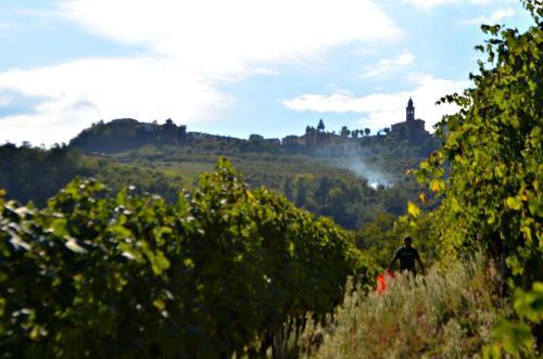 Agroturismo Cascina Il Convivio