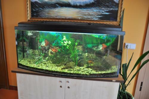 Hostal Pajurio Vila