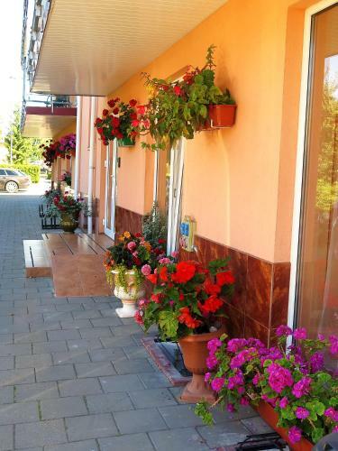 Hostal Pajurio Vila