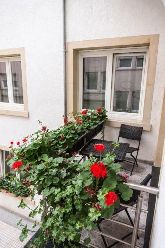 The Queen Luxury Apartments - Villa Cortina
