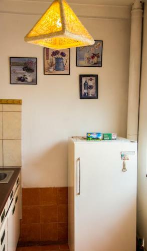 The Comfy Hostel