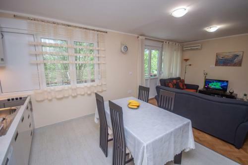 Apartment Nikolic Kotor