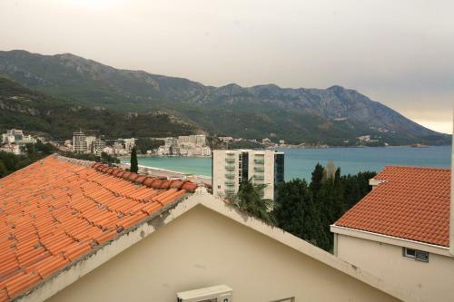 Apartments Vila Petrovic