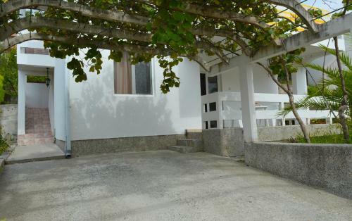 Apartment Zeleny Pojas