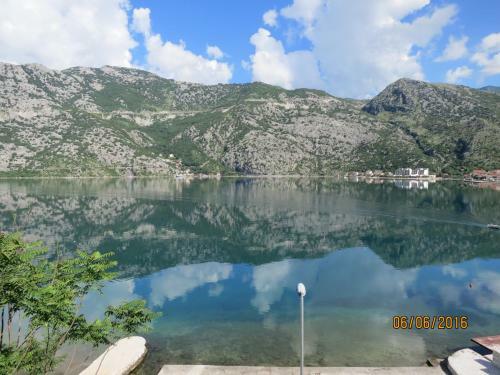 Apartment Dreamland Risan