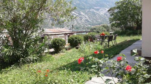 Apartment Cattaro