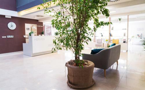 Hotel Hermes Budva