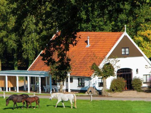 Chalet Chaletpark Kuiperberg 4