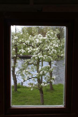 Bed & Breakfast Pipowagen/chalet de Oude Rijn