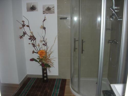 Apartament Karpacz