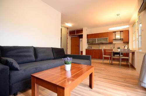 Vic Apartament Petit