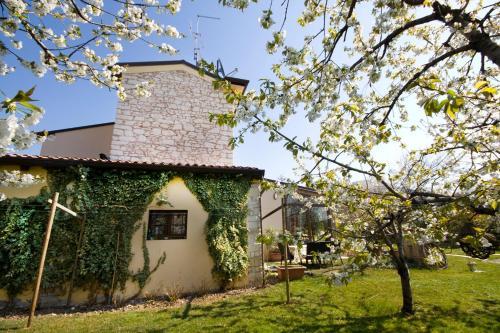 Bed & Breakfast Villa Gesi