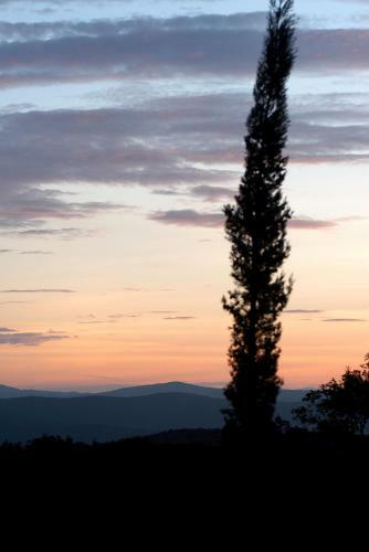 Villa Tenuta Di Seripa