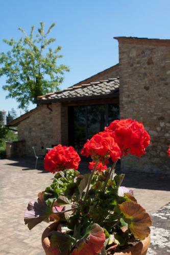 Bed & Breakfast Villa Ducci