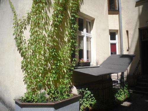 Apartament Berko